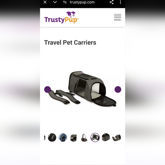 2 in 1 pet travel bag - Picture 1 of 13